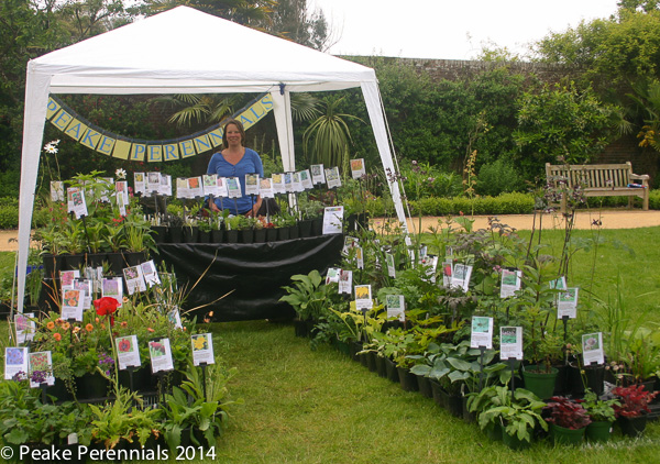 Helen at the Upton Country Park Show in 2014